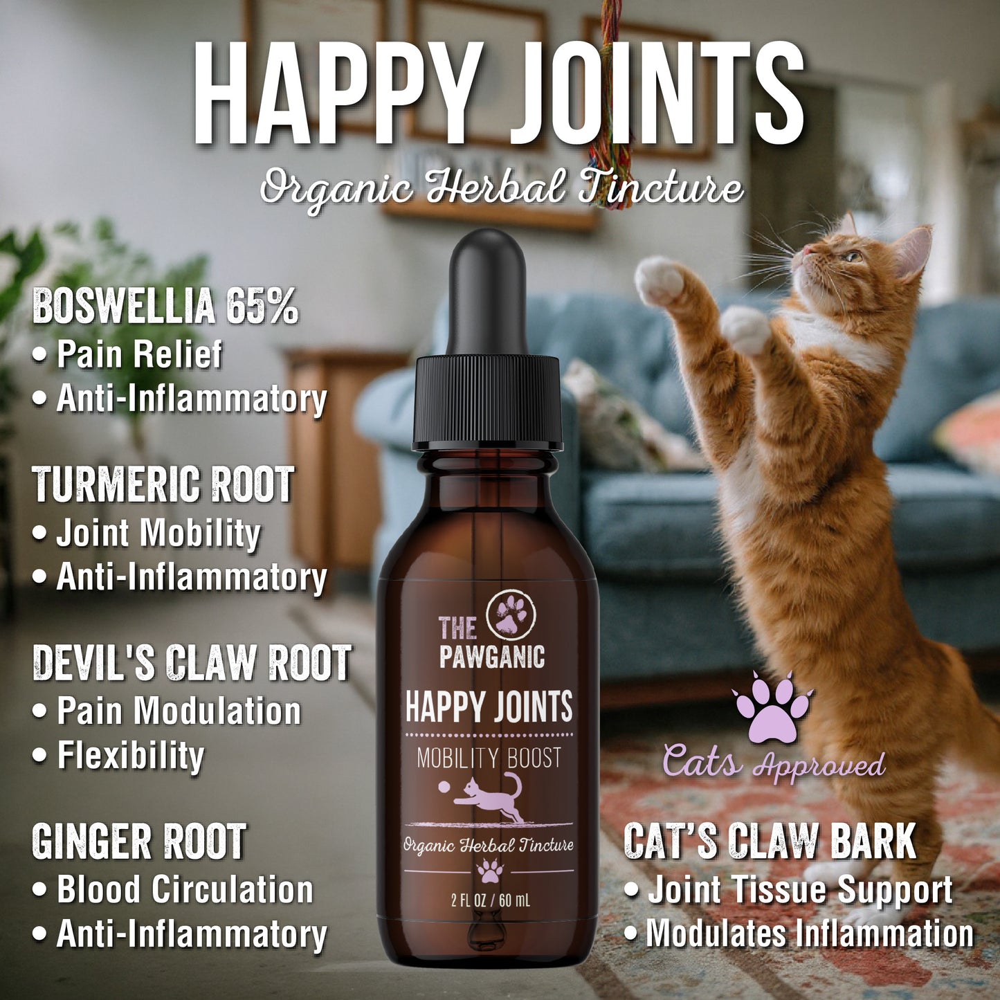 HAPPY JOINTS - MOBILITY SUPPORT - CATS