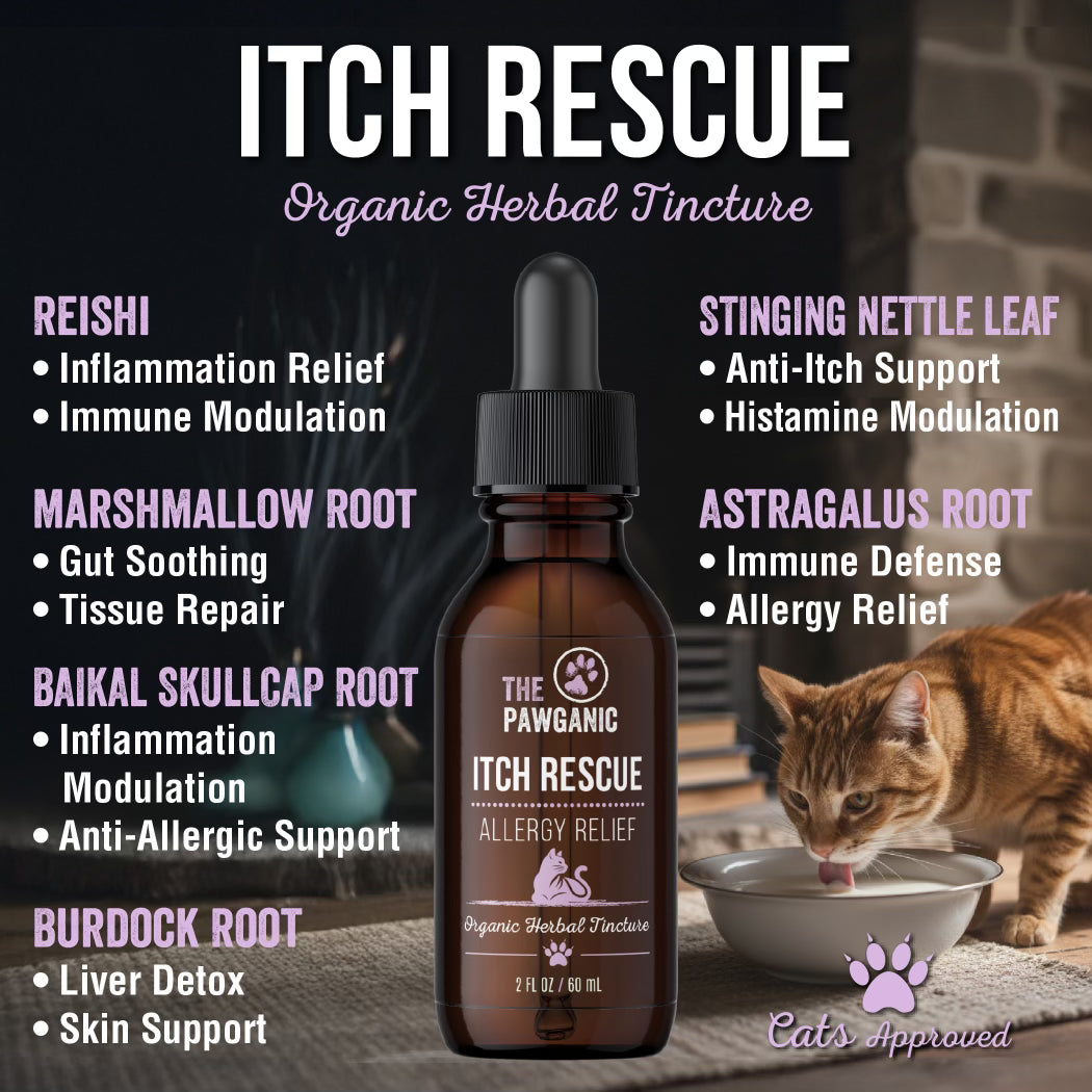 ITCH RESCUE - ALLERGY RELIEF - CATS