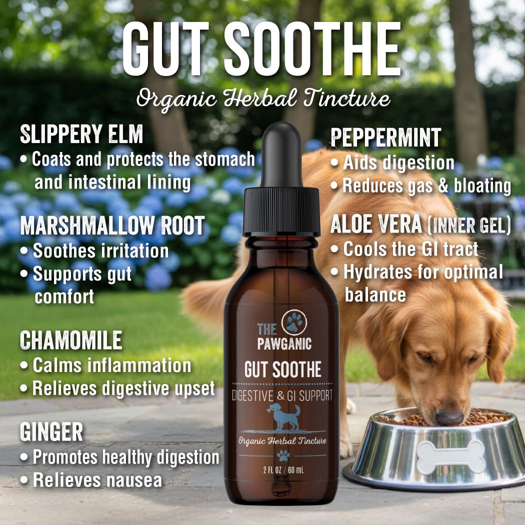 GUT SOOTHE - DIGESTIVE & GI SUPPORT