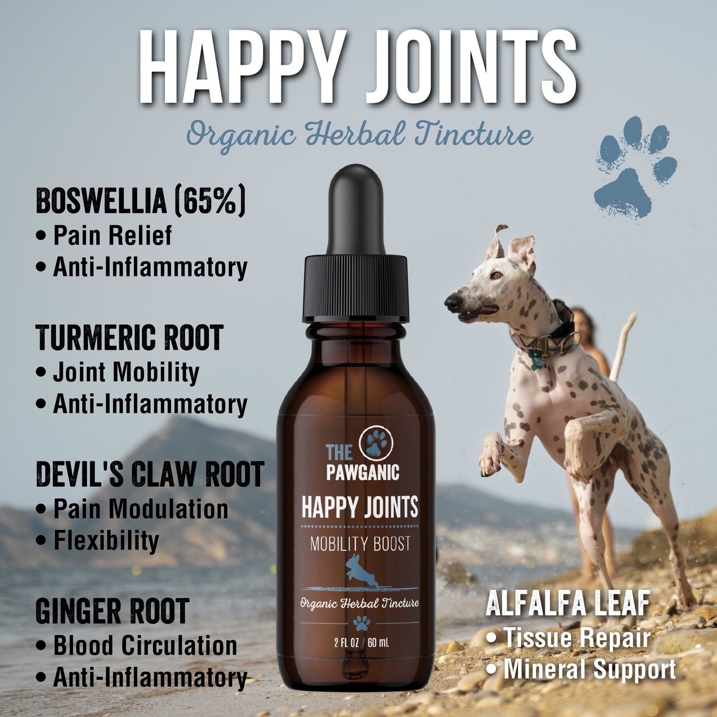 HAPPY JOINTS - MOBILITY SUPPORT