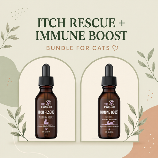 Wellness Duo - Cats