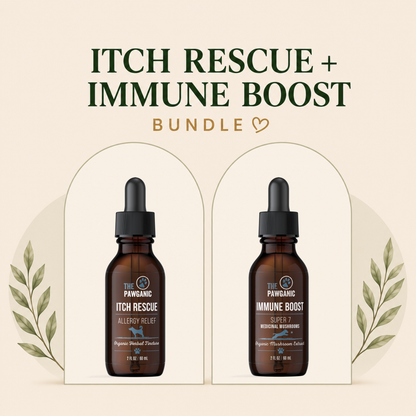 Inside-Out Itch Relief Bundle for Dogs – Skin & Immune Support