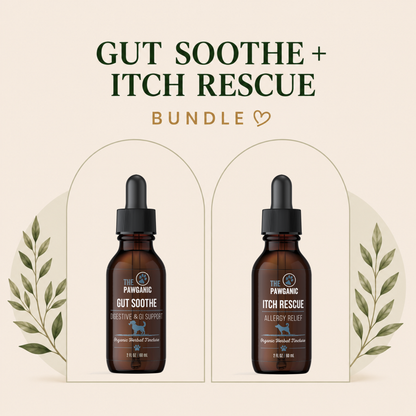 Stop Dog Itching Fast – Allergy & Gut Health Bundle