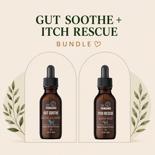Stop Dog Itching Fast – Allergy & Gut Health Bundle