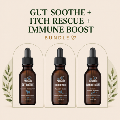 Dog Allergy & Itch Relief Bundle – Gut + Immune Support Trio
