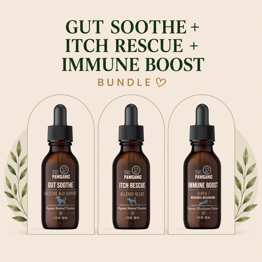 Dog Allergy & Itch Relief Bundle – Gut + Immune Support Trio
