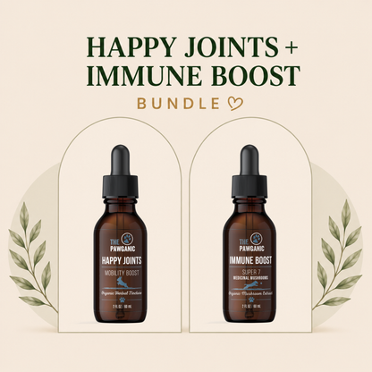 Active Dog Support Bundle – Joint & Immune Health