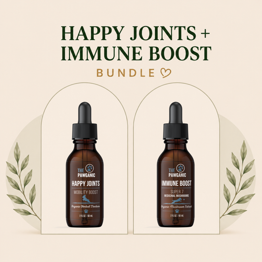 Active Dog Support Bundle – Joint & Immune Health