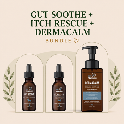 Dog Itch Relief Kit – Allergy Relief + Anti-Itch Shampoo + Gut Support