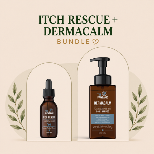 Severe Dog Itching Relief – Shampoo + Allergy Support Bundle