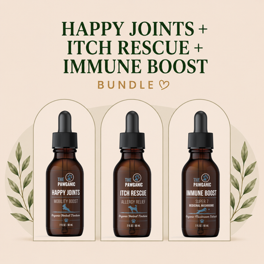 Ultimate Dog Wellness Bundle – Itch, Immunity & Joint Support