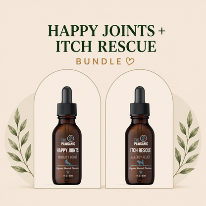 Comfort & Mobility Bundle for Dogs – Itch Relief + Joint Support