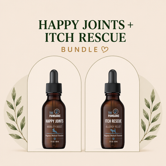Comfort & Mobility Bundle for Dogs – Itch Relief + Joint Support