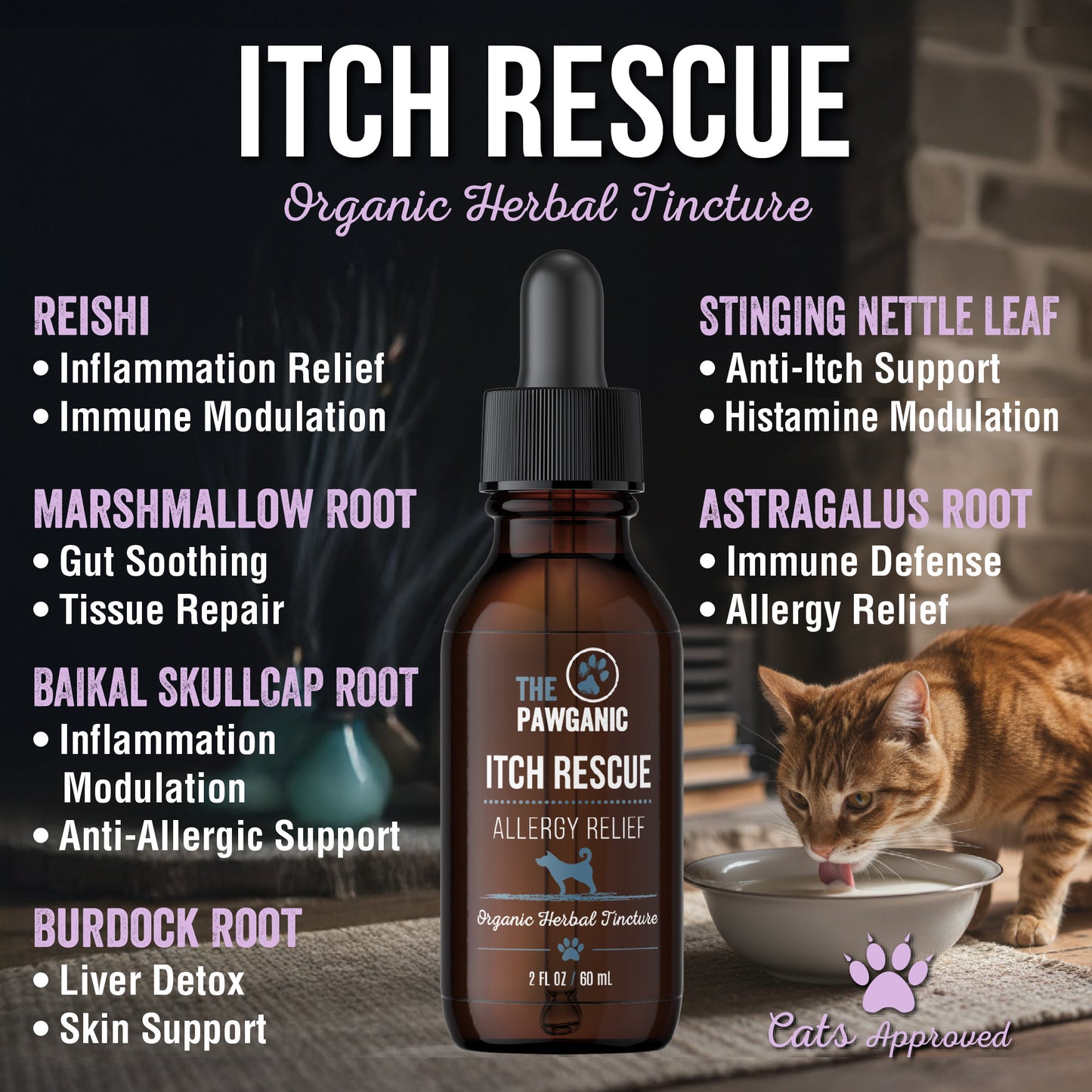 Wellness Trio - Cats