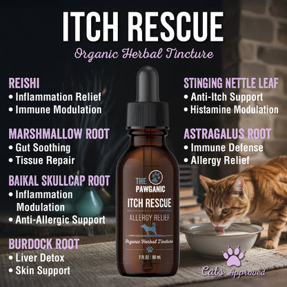 Wellness Trio - Cats