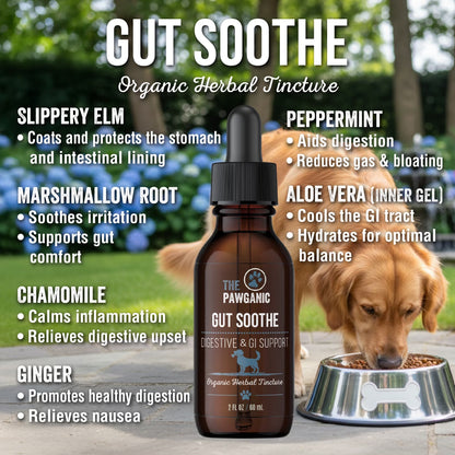 GUT SOOTHE - DIGESTIVE & GI SUPPORT
