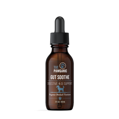 Wellness Duo - Gut Support + Allergy Relief