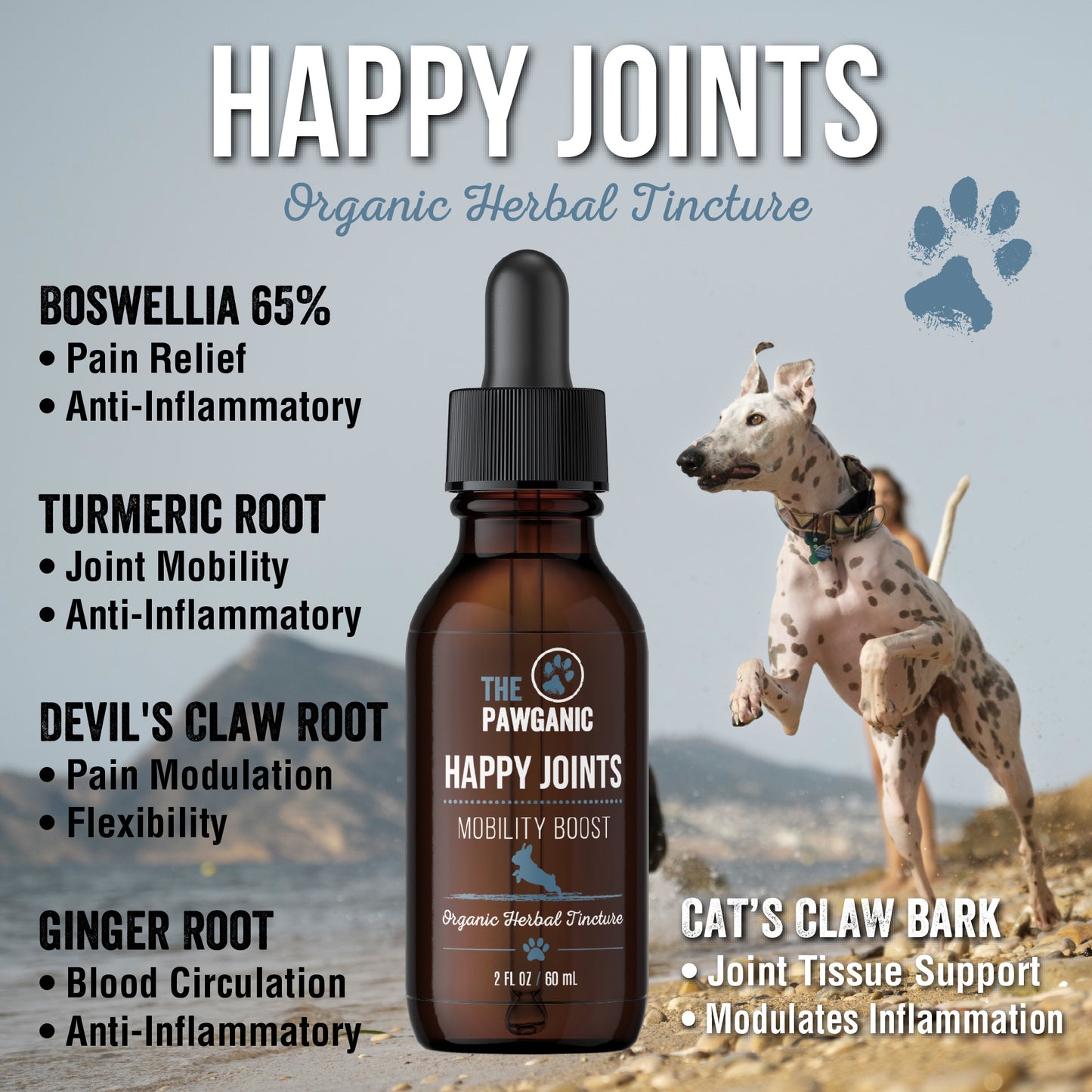 Wellness Trio – Joint Support + Immunity Boost + Shampoo